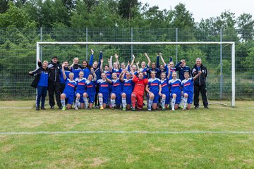 Bild 111 - wBJ FSC Kaltenkirchen - VfR Horst : Ergebnis: 5:0
